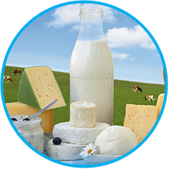 Diary Industries